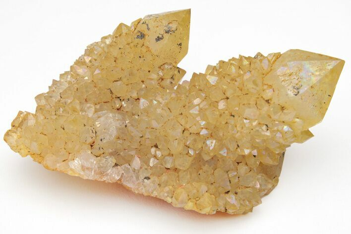 Sunshine Cactus Quartz Crystal Cluster - South Africa #212657